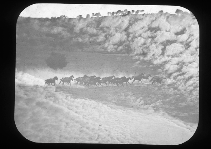 Palo Alto 'Running Herd with Superimposed Sky, copyright Kingston Museum and Heritage Service, 2010'