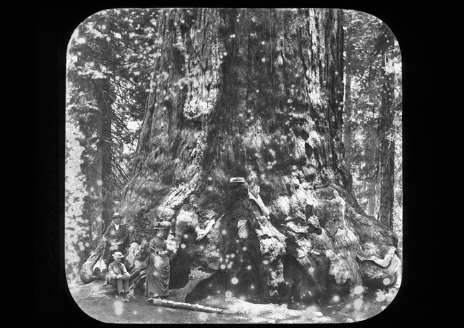 'Group of Tourists in Yosemite, copyright Kingston Museum and Heritage Service, 2010'